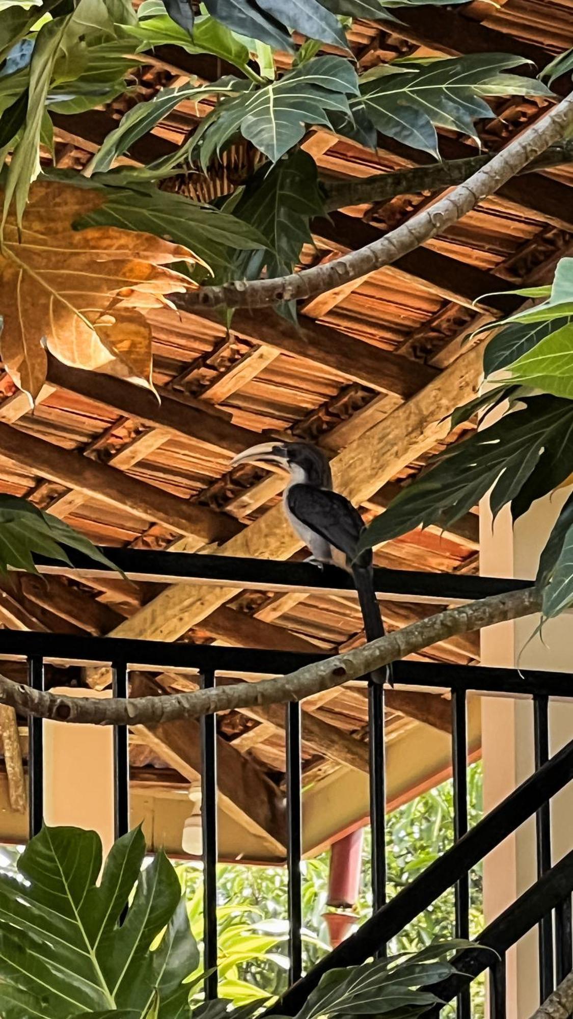 Relax Beach House Тангалла Экстерьер фото